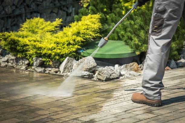 Best Soft Washing  in Janesville, MN